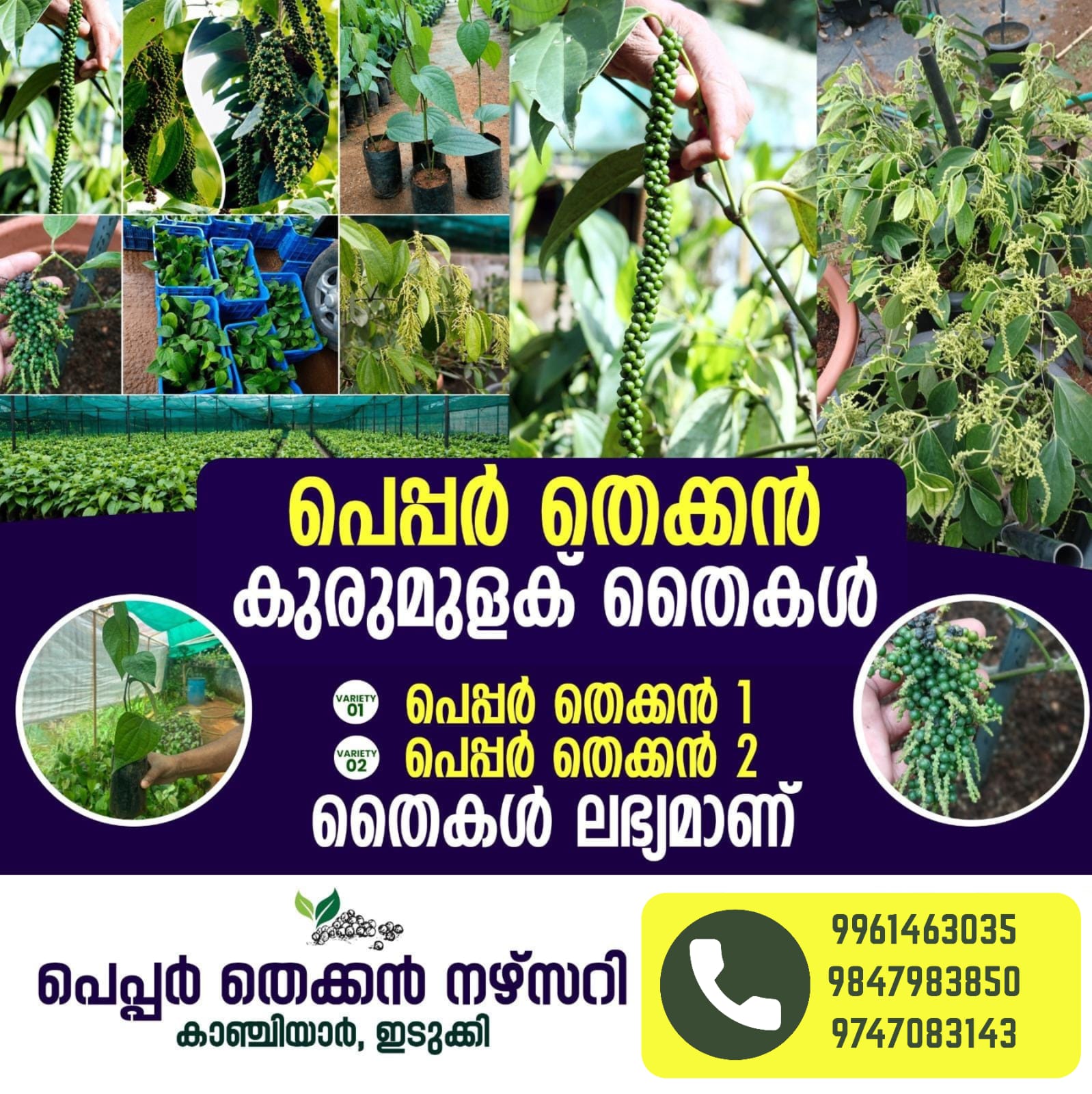 img 20260624 wa0069