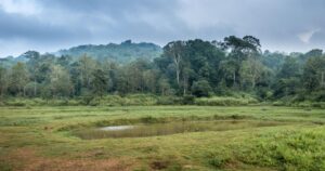 വയനാട് മെഡിക്കൽ കോളജ് വികസനത്തിന് വനഭൂമി ഉപയോഗിക്കാൻ കേന്ദ്രാനുമതി തേടി കേരളം screenshot 2026 06 09 20 08 20 82 96b26121e545231a3c569311a54cda96
