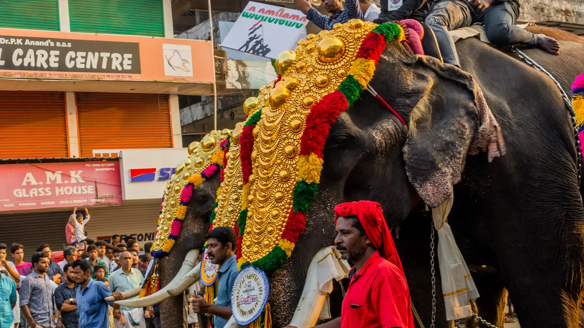 pattambi nercha 20230223111319512176