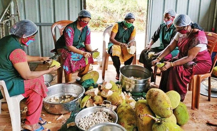 ഓരോ പഞ്ചായത്തിലും അഗ്രോ-പ്രോസസ്സിംഗ് മൈക്രോഫാക്ടറികൾ