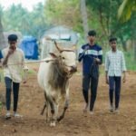 pexels aravindhan c 1933613249 29065171
